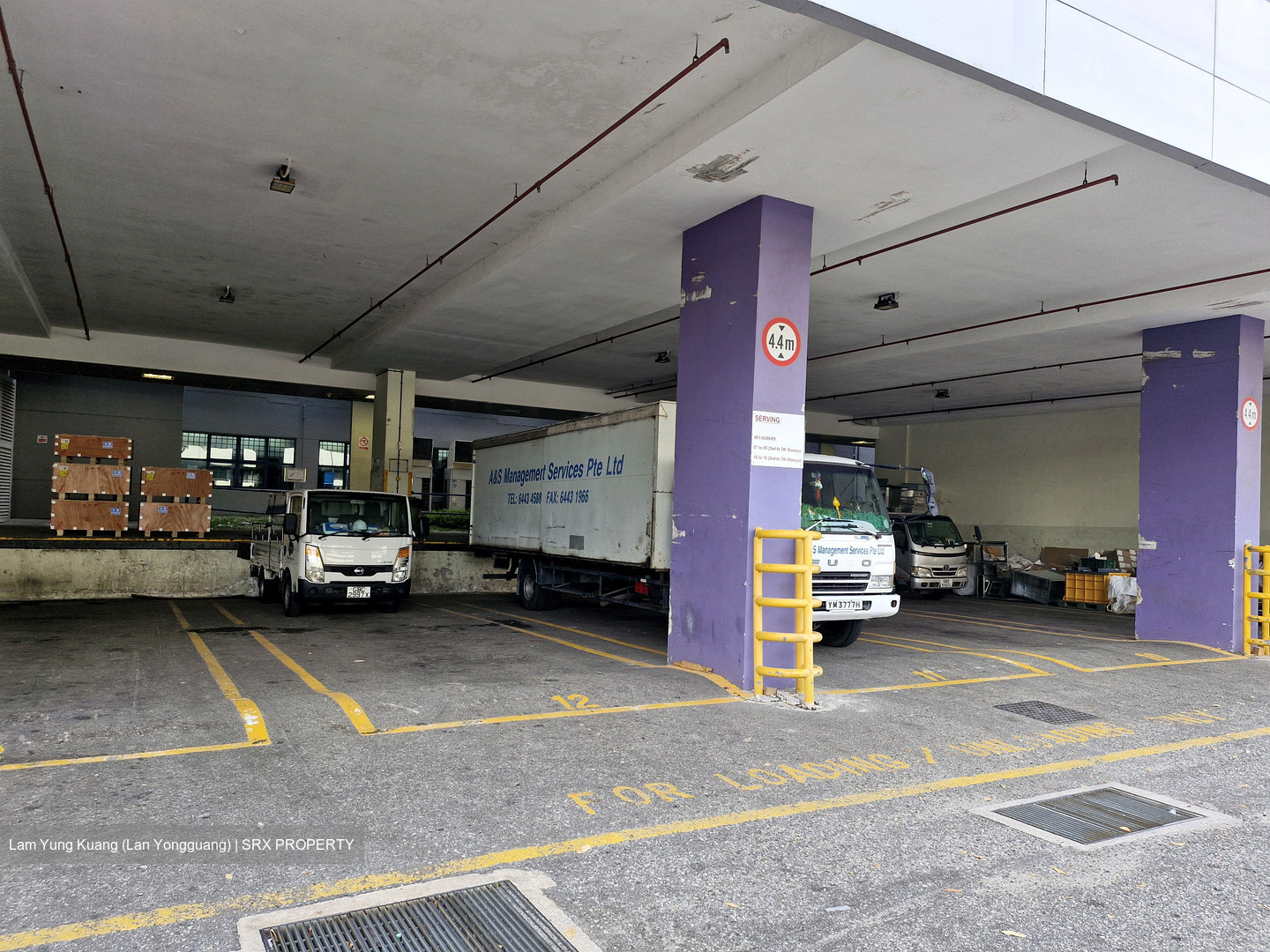 Loyang Industrial Estate (D17), Factory #505499021
